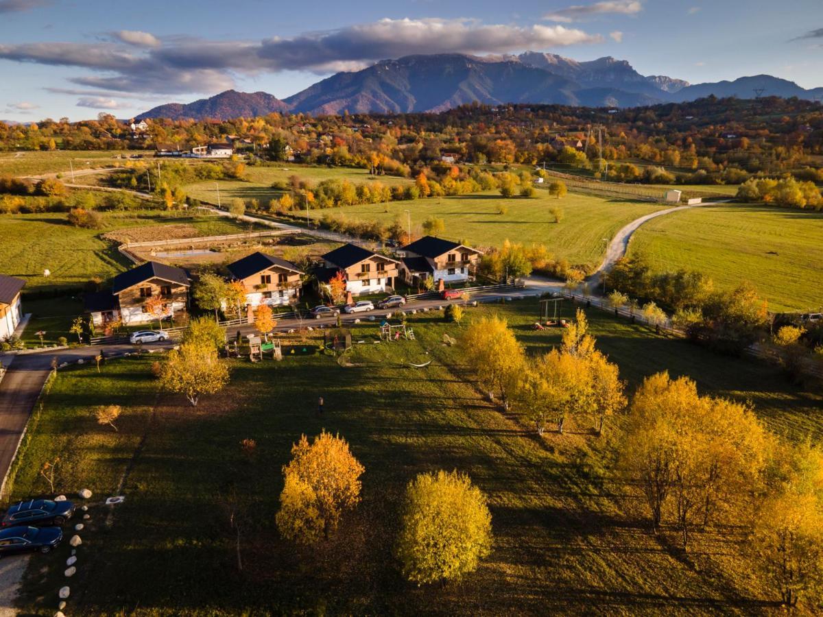 Green Resort Bran Бран Екстер'єр фото