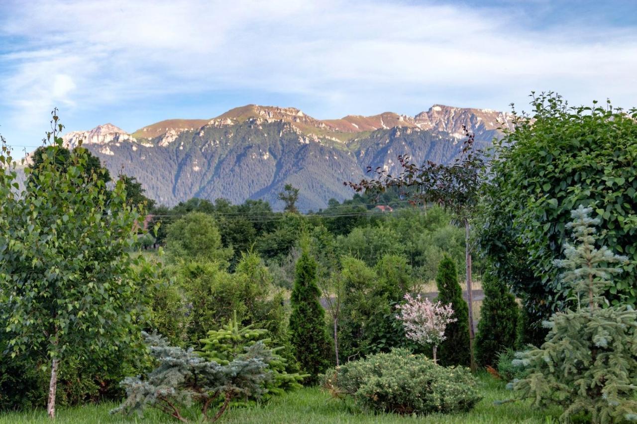 Green Resort Bran Бран Екстер'єр фото