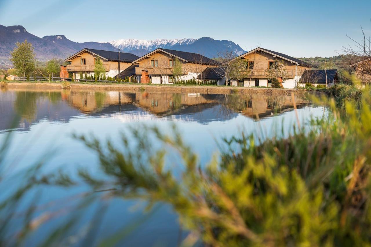 Green Resort Bran Бран Екстер'єр фото