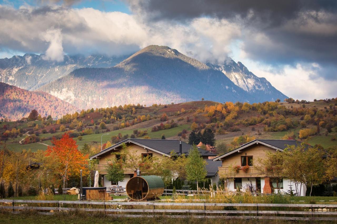 Green Resort Bran Бран Екстер'єр фото