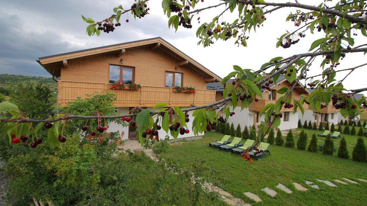 Green Resort Bran Бран Екстер'єр фото